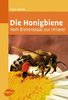 Die Honigbiene - Vom Bienenstaat zur Imkerei