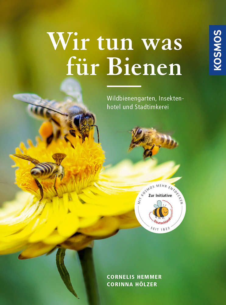 Expedition Natur Bienenhotel Buch Brummsumm Entdecke die Welt der Honigbiene 