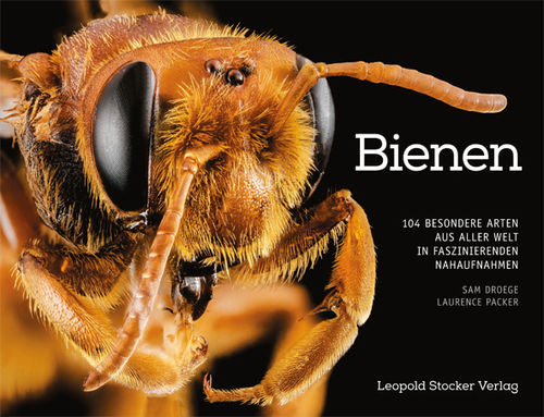 Bienen - 104 besondere Arten aus aller Welt