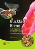 Buckfast-Biene in der angepassten  Dadant-Beute