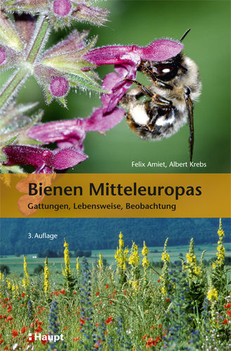 Bienen Mitteleuropas